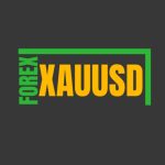 FREE TRADİNG SİGNALS - Telegram Channel